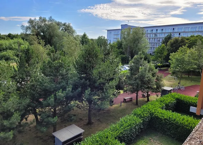 Olympic Park Apartment